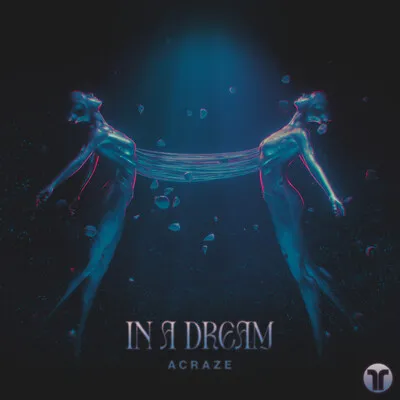 In A Dream | Acraze Poster